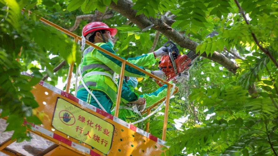 武清城市道路两边的绿化归谁管