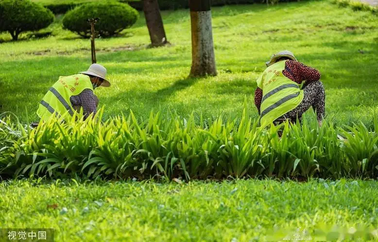 半山悦景园林景观设计方案