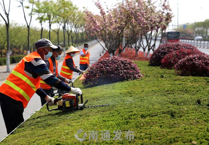 房顶绿化工程施工队怎么样