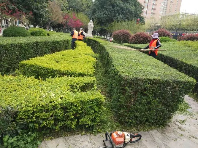 别墅屋顶园林景观设计