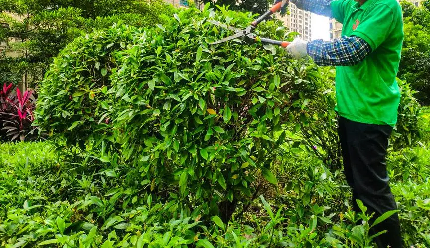 国外园林景观设计案例